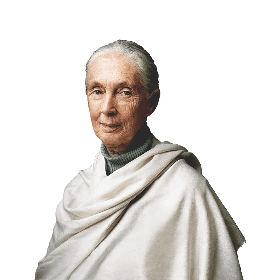 La Dra. Jane Goodall, primatóloga y activista, con un jersey de cuello alto verde y un poncho color canela, de pie cerca del fondo de las hojas.