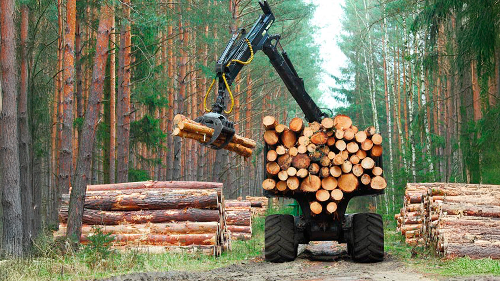 Three young adults smiling while backpacking through a field