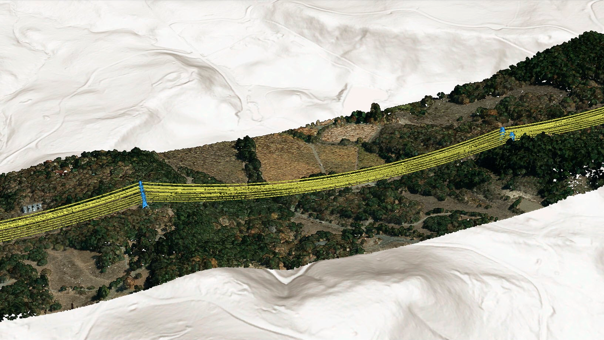 Three young adults smiling while backpacking through a field