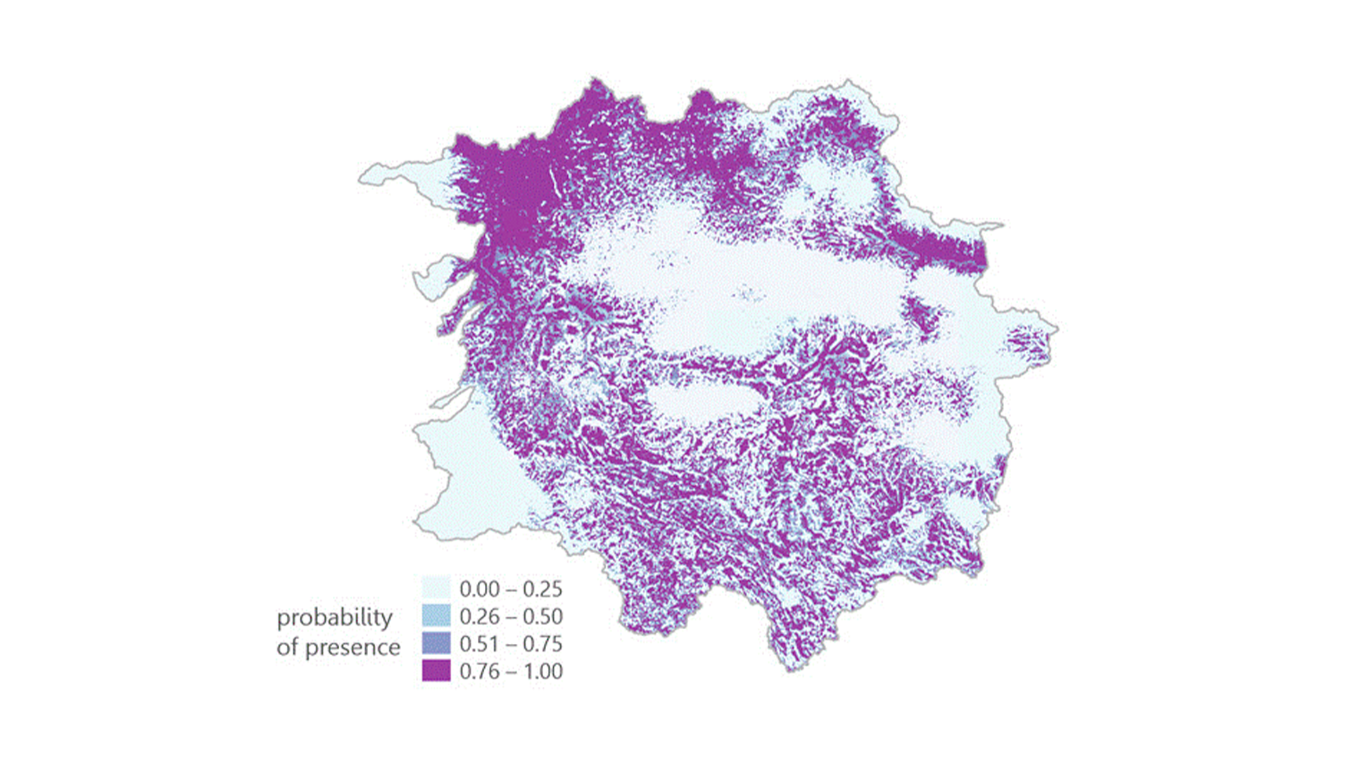 Three young adults smiling while backpacking through a field