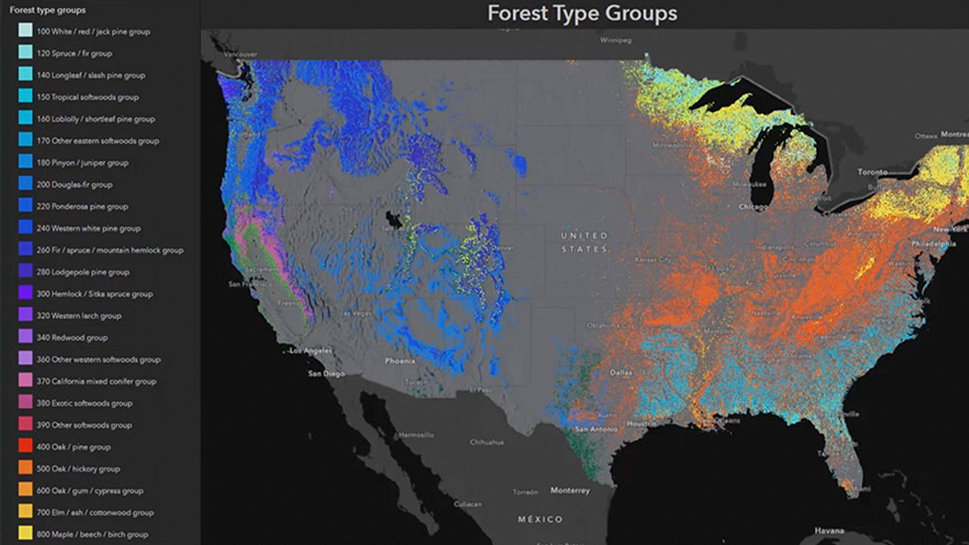 Three young adults smiling while backpacking through a field