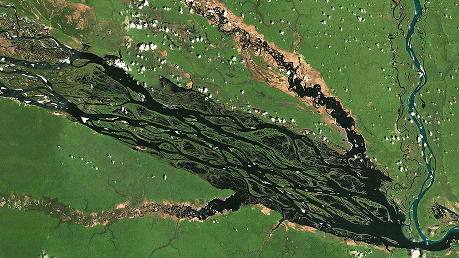 Three young adults smiling while backpacking through a field
