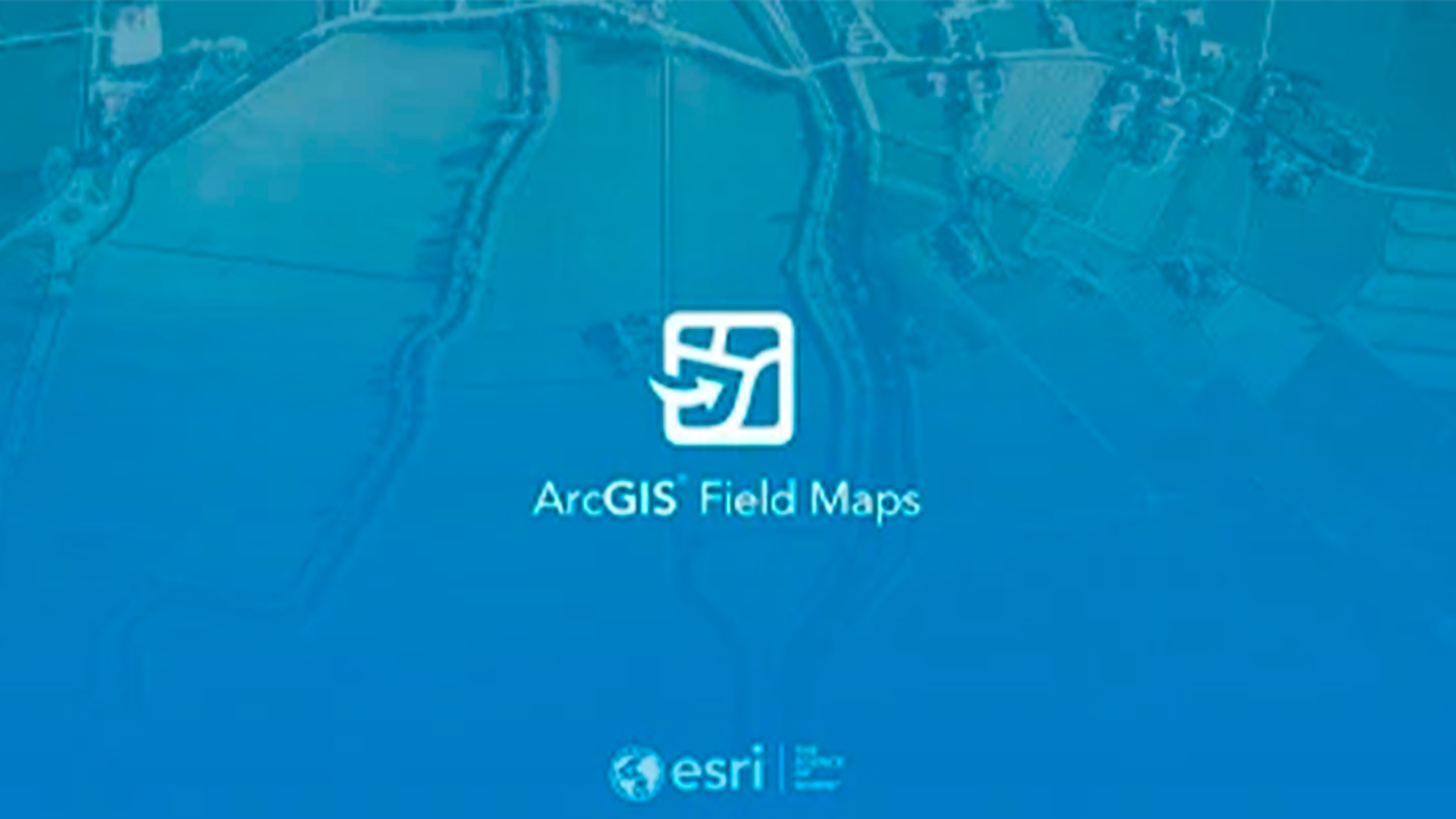 Three young adults smiling while backpacking through a field