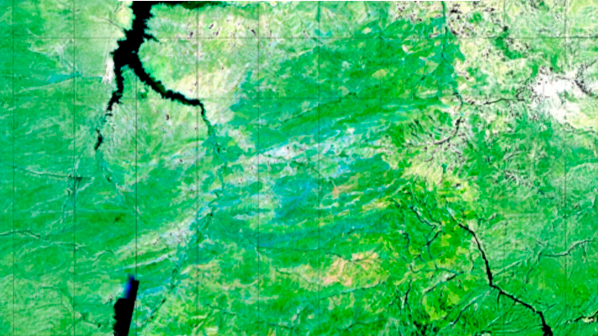 Three young adults smiling while backpacking through a field