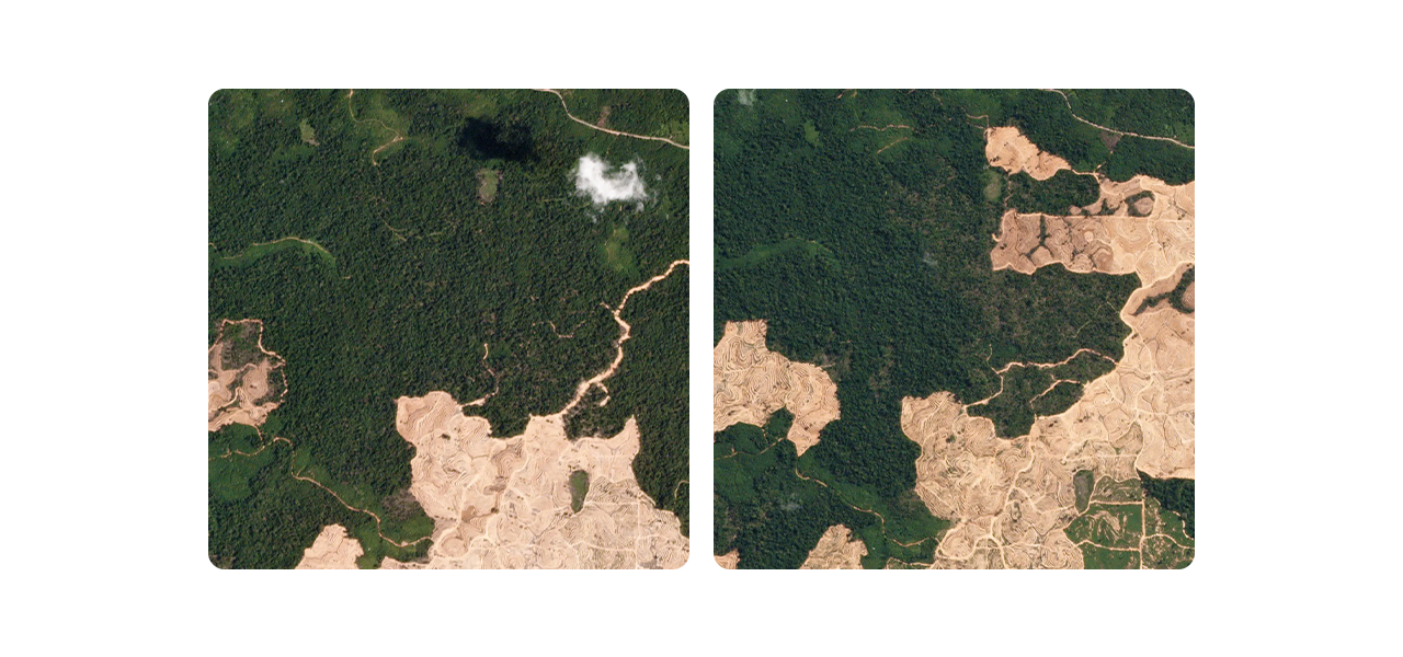 Dos personas que llevan ropa de invierno y equipo de seguridad naranja quitando la nieve acumulada a lo largo de una carretera transitada