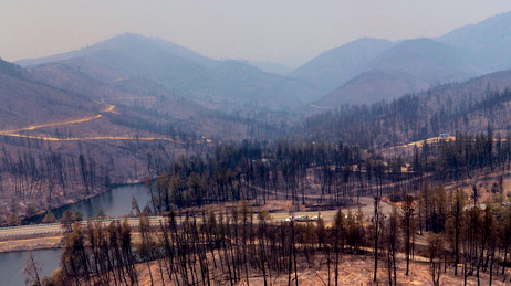 Vista aérea de tierra y árboles quemados por el incendio