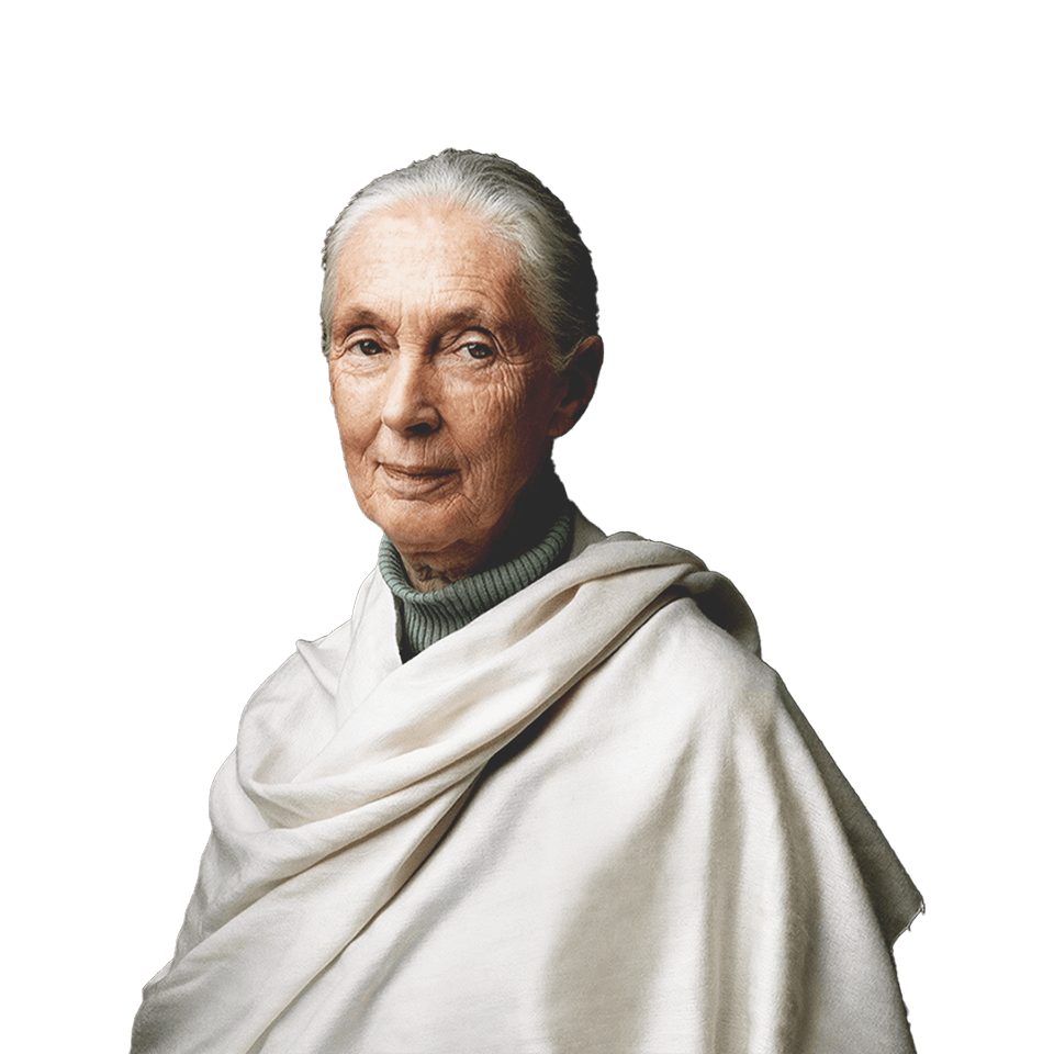 La Dra. Jane Goodall, primatóloga y activista, con un jersey de cuello alto verde y un poncho color canela, de pie cerca del fondo de las hojas.