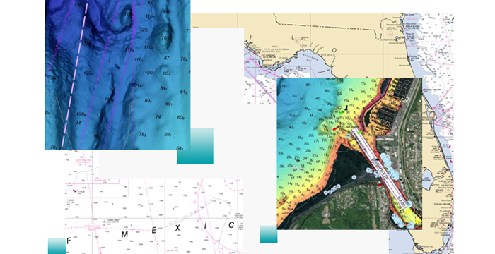 Mapa vectorial de Florida y cartas de navegación electrónicas