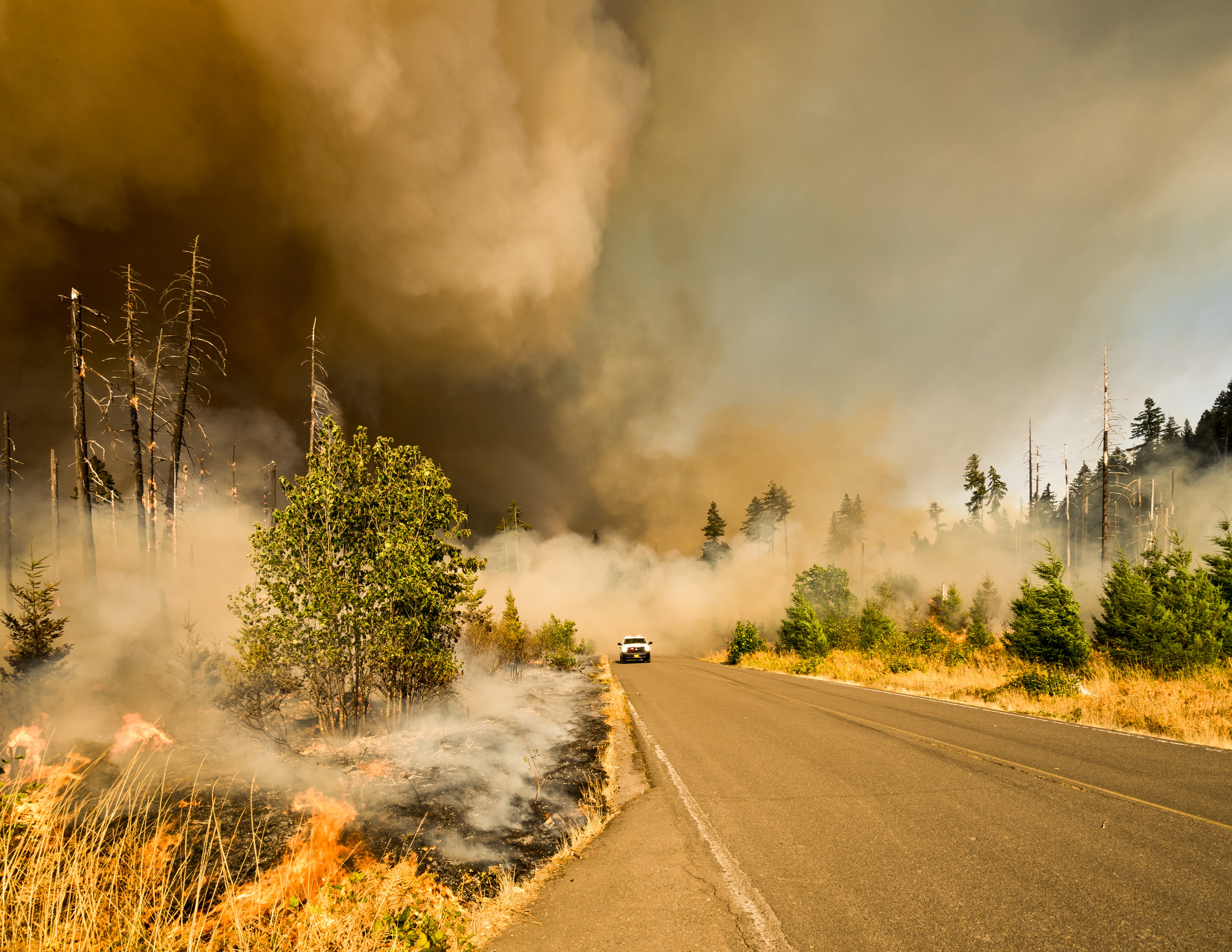 incendio forestal