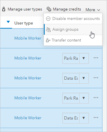 assign groups ArcGIS Online