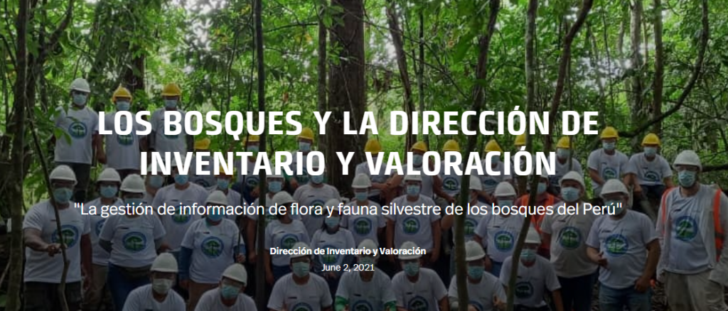 LOS BOSQUES Y LA DIRECCIÓN DE INVENTARIO Y VALORACIÓN
