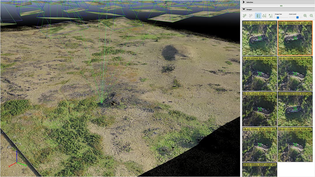 Modelo 3D triangulado que identifica un Hara Moa 